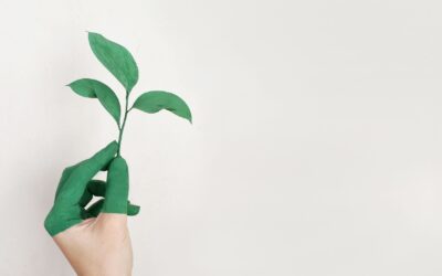 Comunicazione della sostenibilità: cos’è e come farla