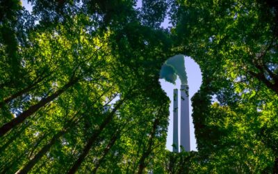 Cos’è il greenwashing e qual è il suo futuro